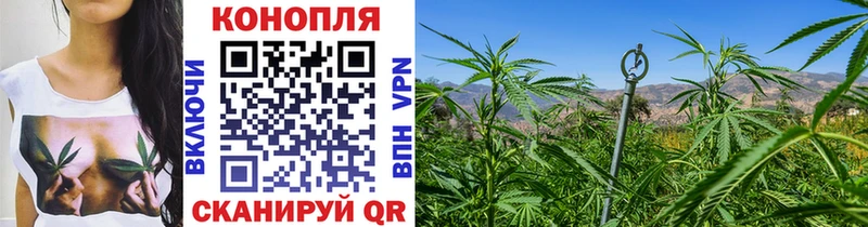 как найти закладки Курчатов Конопля Ganja
